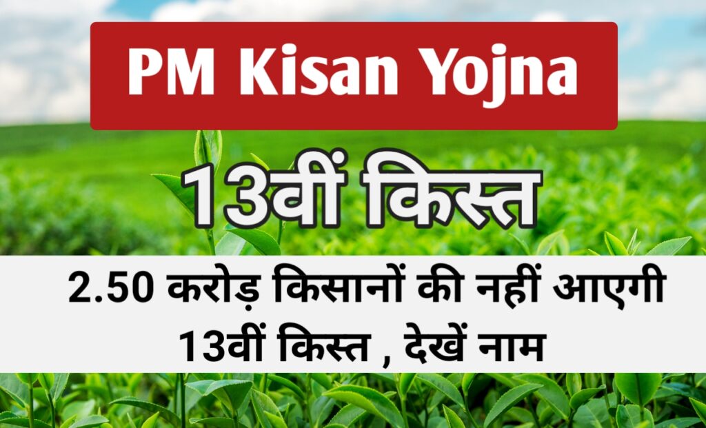 PM Kisan Yojna Letest News: ढाई करोड़ किसानों को 13वीं किस्त से धोना पड़ेगा हाथ , देखे क्या है कारण और फटाफट करें यह काम