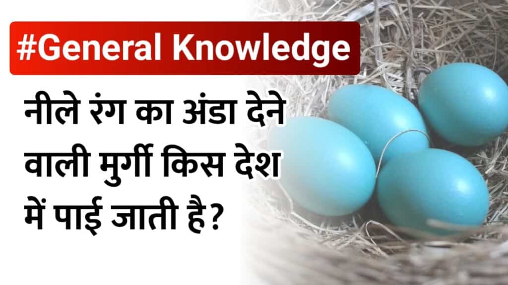 Trending GK Quiz: नीले रंग के अंडे देने वाली मुर्गी किस देश में पाई जाती है? क्या आपको पता है जवाब, देखें उत्तर